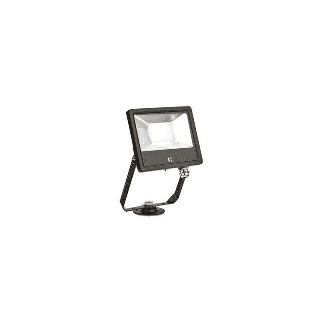 Collingwood Lighting 50W Colour Switchable Floodlight