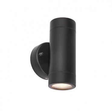 Palin Up & Down Light
